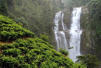 Скидки на обратный перелёт из Шри-Ланки в Минск от «Белавиа»