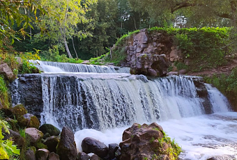 Тур на болото Ельня и водопад на реке Вята