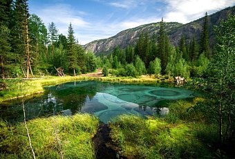 Путешествие по Алтаю