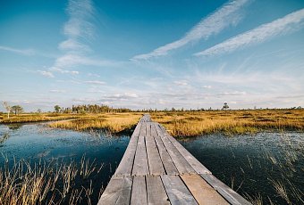 Тур на болото Ельня и водопад на реке Вята