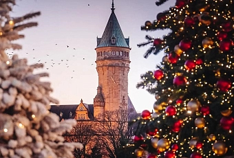 Автобусные туры с визовой поддержкой: 7 вариантов открыть шенген до конца 2025 года