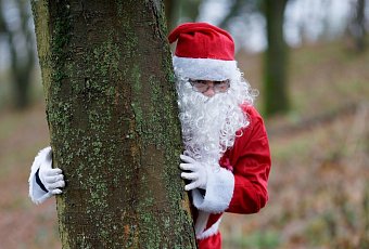Новогодняя сказка ждёт вас в Беловежской пуще — бронируйте тур, пока места не разобрали!