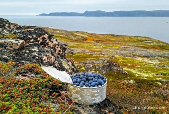 Автобусный тур в Мурманск! Арктическое лето