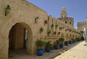 «Белавиа» возобновляет чартерные рейсы в Тунис